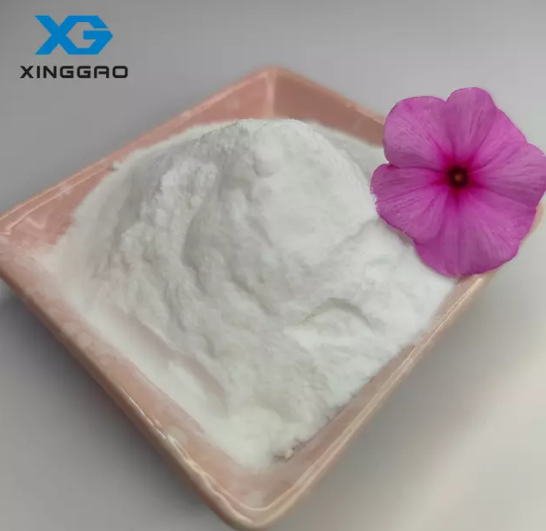 스킨케어의 미래와 더욱 안전한 성분의 진화