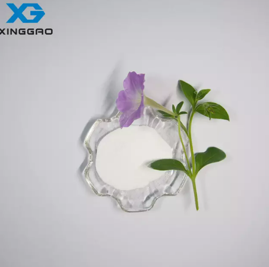 유기 화학에서 다양한 유형의 중간체는 무엇입니까?